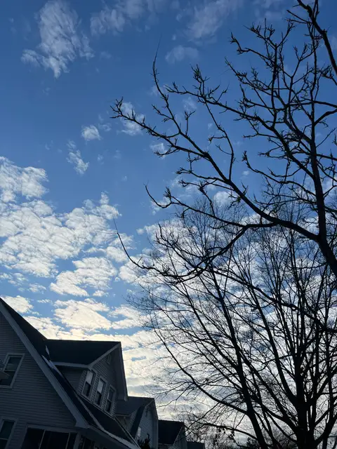 Rooftops peek beneath a captivating, cloud-dotted sky.